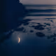 Tide Pools by Matt Kane