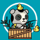 Live Like a Panda