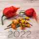 CrazyChilisMadeInBavaria - Edition 2022