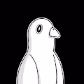 Neidiot Pigeon