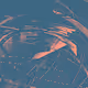 6RADIENTS