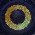 Loops&Samples