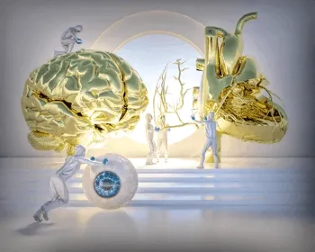 500 Days of Anything