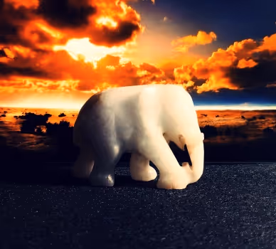 My elephants (Ethereum)