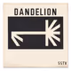 DANDELION