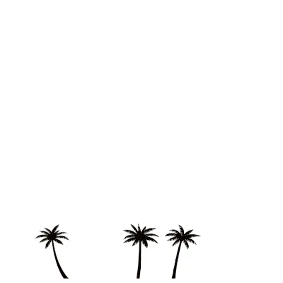 MABOROSHI CAMP sample