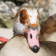 test - CPzHBnK0ZB