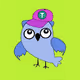 Trading_Owles Collection