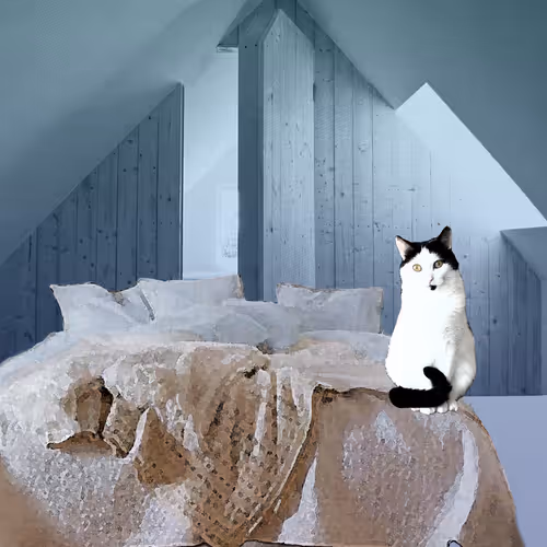 DOMESTIC TERRITORIES