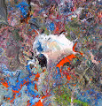 Metamorphose