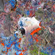 Metamorphose