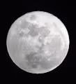 To the Moon 7 WAGMI