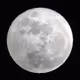 To the Moon 7 WAGMI