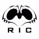 Raccoons In Custody_Transferred