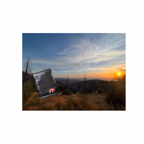 lil nouns coffee 004