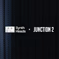 J2 Synth Heads