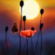 at the edge of the light