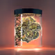 Moon Rocks Financial