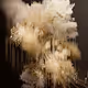 Autumn Gold Pollination