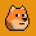 Doge CryptoPunks - old