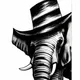 Classy AnImals Wear Hats.