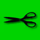 Bloot Scissors