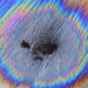 Micropscopy  Gallery