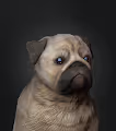 Epic Pugs