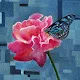 Butterflys by Ed Colarik - old