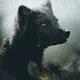 Feral Spirits