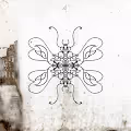 Butterflies who don't know where to fly