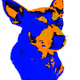 Chihuahua Leo - old