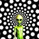 Hypnotic Aliens Collection