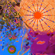 Shapes & Colours