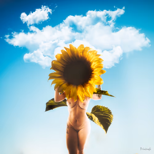 Reiniscouple Collage Editions