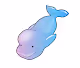 Baby Beluga