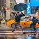 The New York Puddle Jumpers