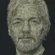 Dollars Assange by Pascal Boyart