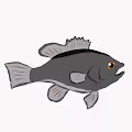 Bass hatchery