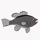 Bass hatchery
