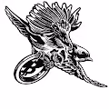 Bird of Coin series by Rukmunal Hakim