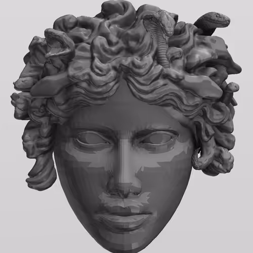 3D Medusa