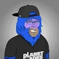 Planet of The Bored Apes Rubber Dinghy Club