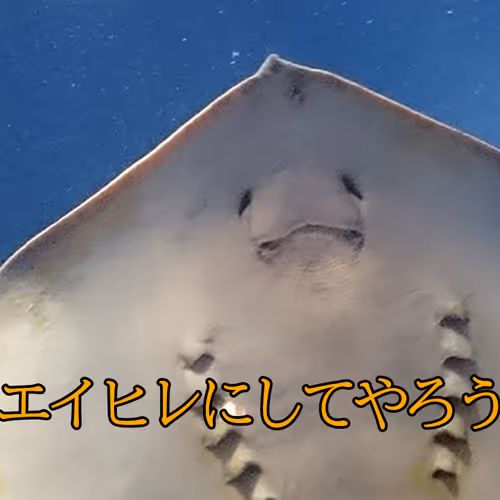 AkiWorks