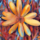 Inspiration By Nature Free Collection