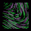 Flow Fields GenArt