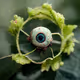 AI imaginarium