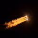 A Spacefaring Species