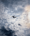 In Plane Sight - old