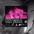 Net Gala